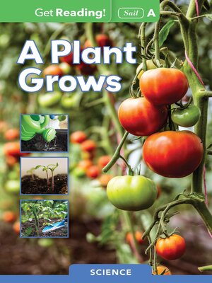 cover image of A Plant Grows